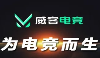威客电竞·(中国)ios/安卓/手机版app下载